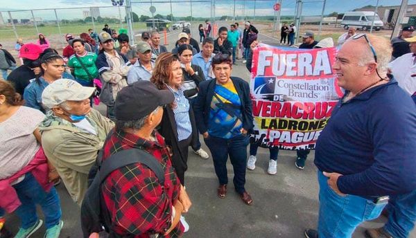 ¡PROTESTA DE UGOCEPISTAS! - *Y Constellation Brands les responde
