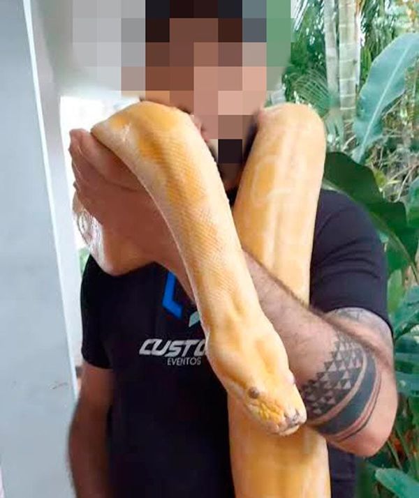 ¡ESCAPA BOA ALBINA DE UN CIRCO EN SAN RAFAEL!