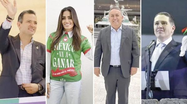 ¡PAN NOMBRA A SIETE COORDINADORES; SE PERFILAN PARA SER CANDIDATOS!