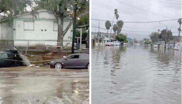 ¡SUMAN 8 MUERTOS EN ENSENADA!
