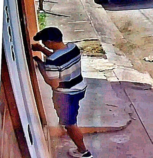 ¡CON ENGAÑOS UN “RATÓN” LE ROBÓ EL CELULAR A ABUELITA!