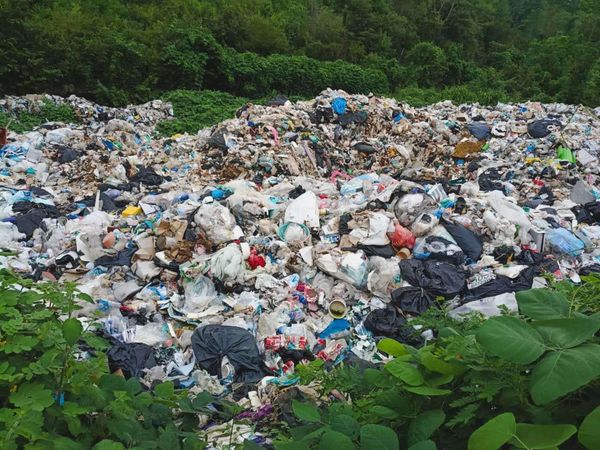 ¡CLAUSURAN MÁS DE 150 TIRADEROS A CIELO ABIERTO EN VERACRUZ!