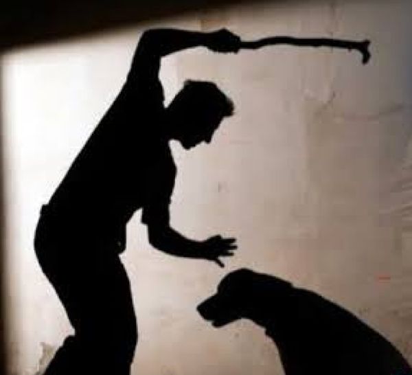 ¡HASTA 6 AÑOS DE CÁRCEL A QUIEN CAUSE LA MUERTE DE UN ANIMAL POR MALTRATO O CRUELDAD!
