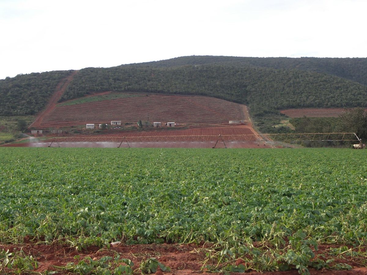 A center-pivot irrigation system sprays water over rows of leafy green crops in a field below a hillside in South Africa.