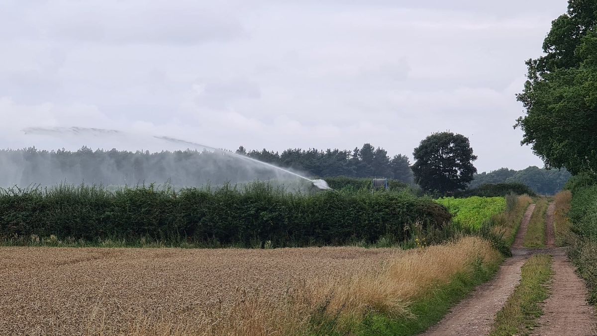 A large irrigation sprinkler sprays water over a field of green vegetable crops beside a rural dirt path.