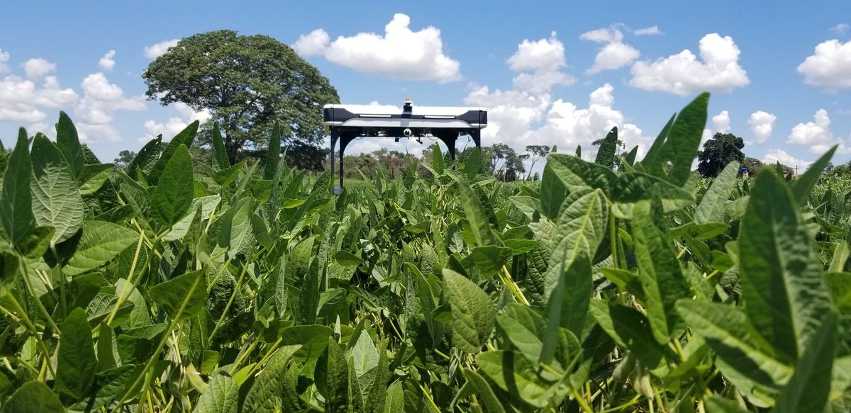 A high-clearance crop robot stands in a lush green field under a blue sky with white clouds.