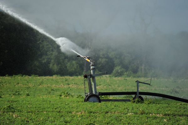 A high-pressure field irrigation sprinkler mounted on a wheeled frame sprays water in an arc across a green agricultural field.