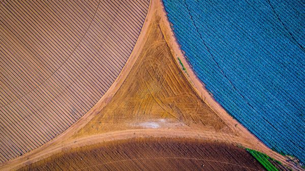 Aerial view of South African farmland showing distinct crop fields and soil management zones.