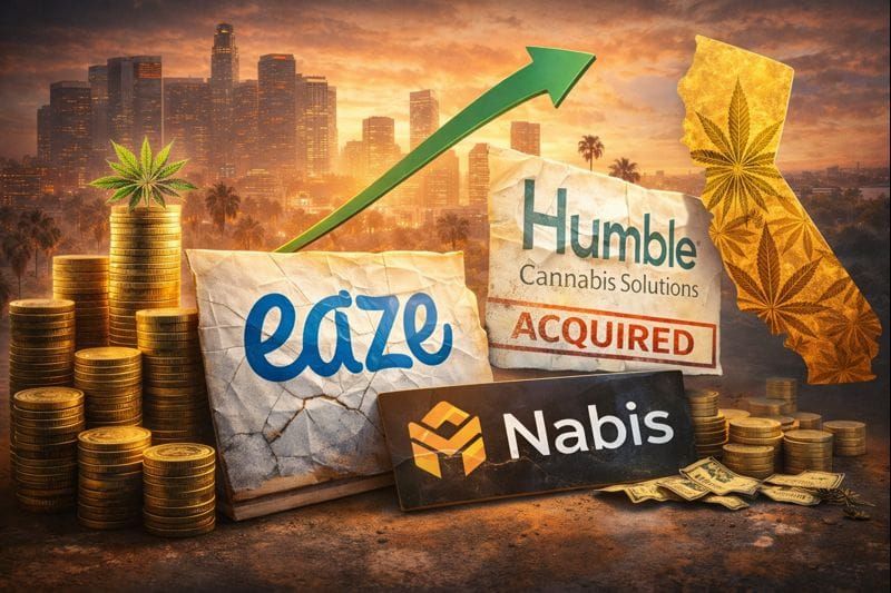 California’s Consolidation Era: Survival of the Strongest