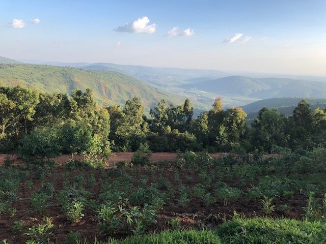 12th March 2020