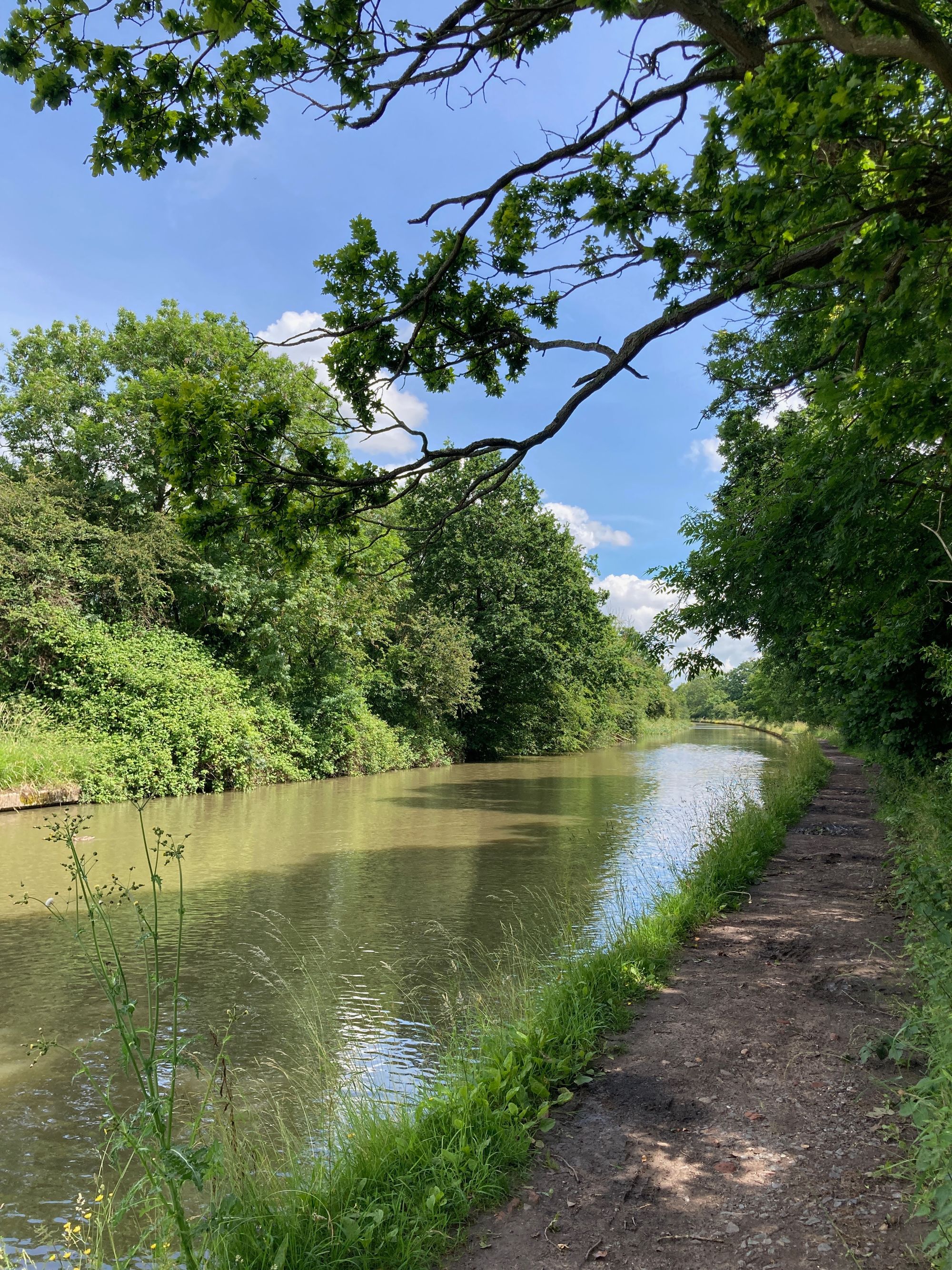 canal and towpath
