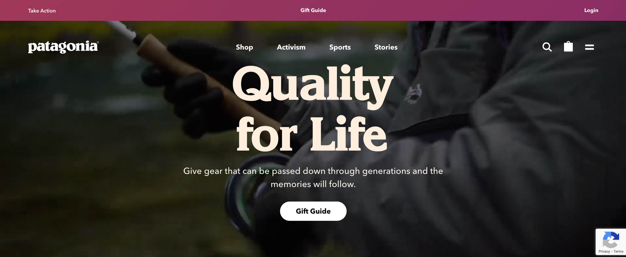 A screenshot of a web page. Patagonia in top left corner. Headline reads Quality for life