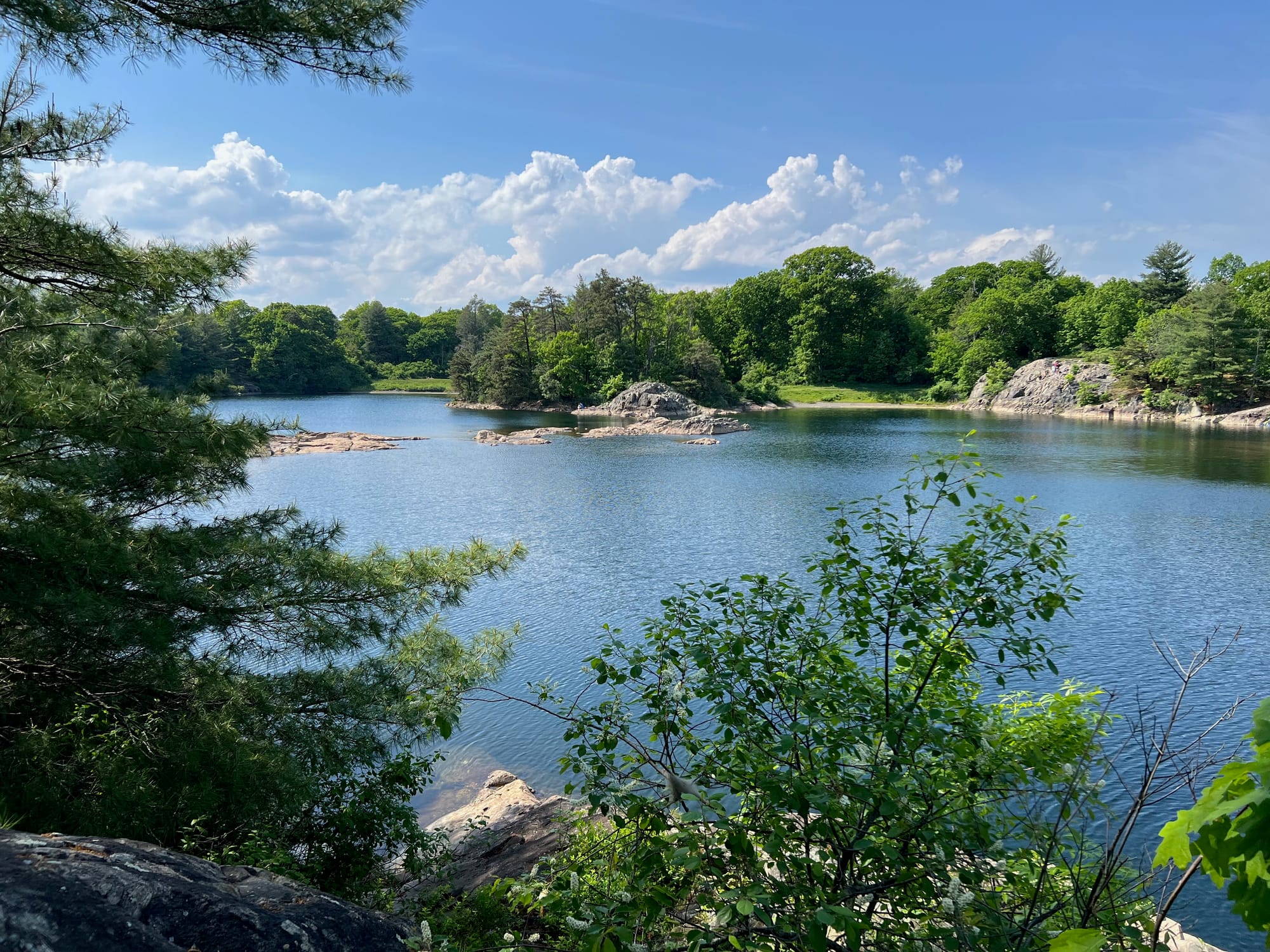 A picture of a reservoir surrounded by lush greenery