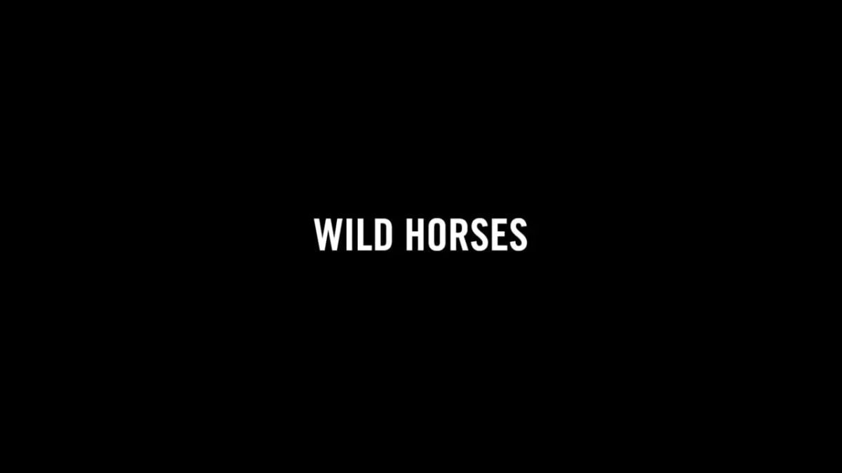 Wild Horses, The Silk Road Mountain Race Documentary