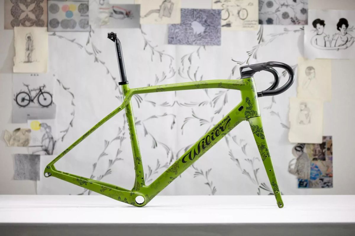 DKlein x Wilier Triestina JENA Jungle DCO Gravel Bike