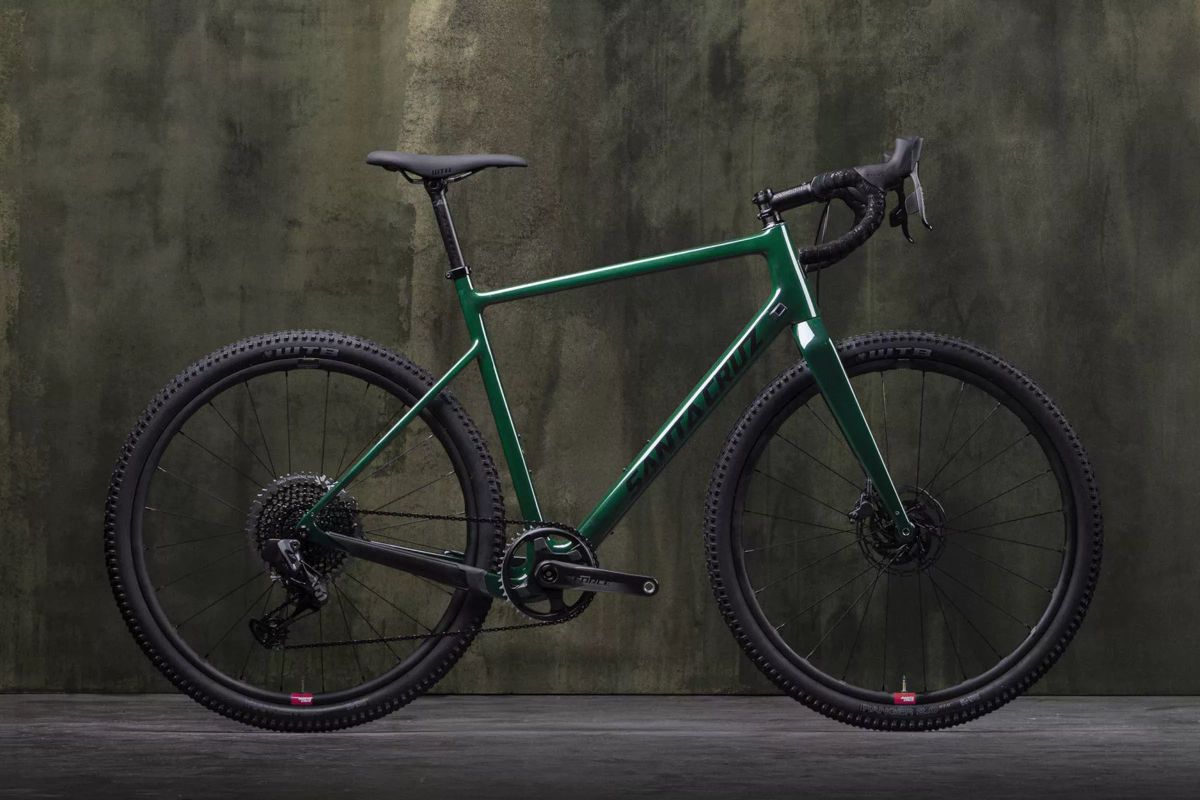 2021 Santa Cruz Stigmata and Juliana Quincy