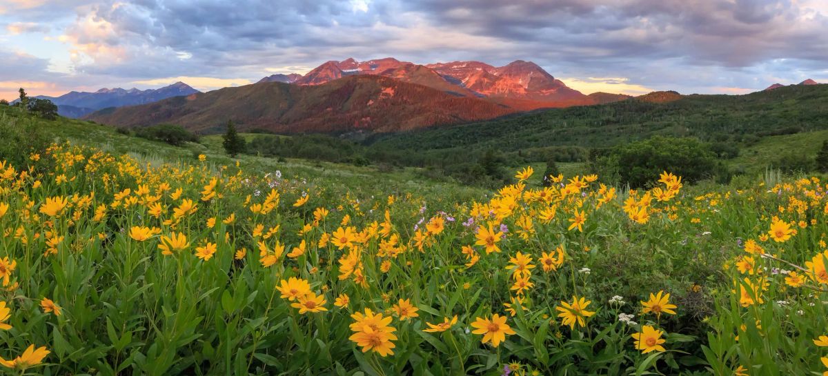 The Wasatch All-Road, a New Utah Gravel Race for 2021