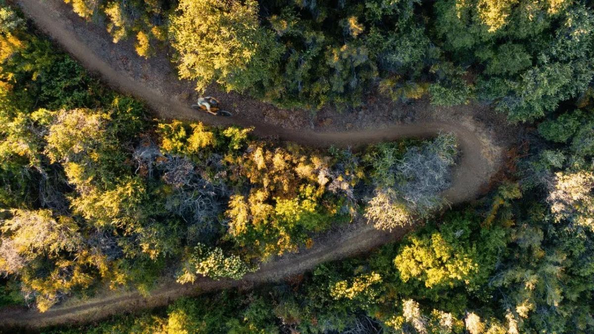 Soil Searching: Dillon Osleger