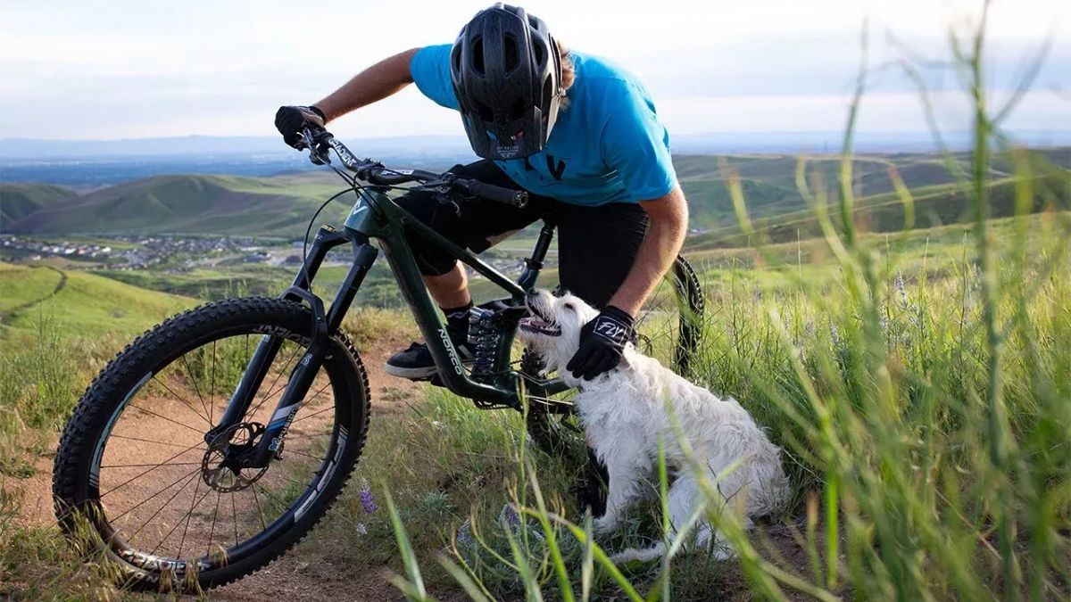 The Making Of A Trail Dog Featuring Stevie Sticks