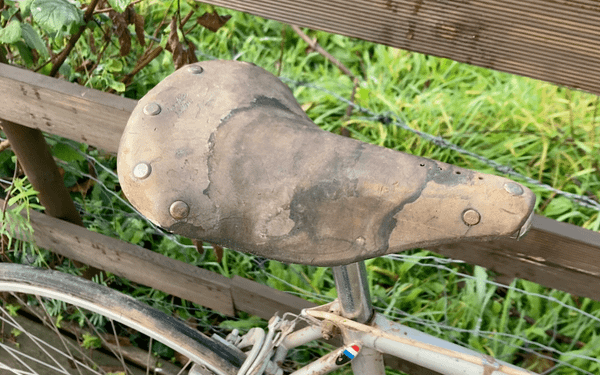 Saddle Sores: A Rider's Guide to Treatment and Prevention