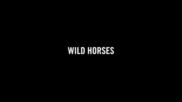 Wild Horses, The Silk Road Mountain Race Documentary