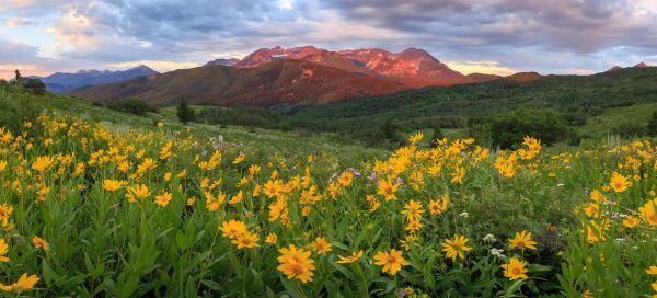 The Wasatch All-Road, a New Utah Gravel Race for 2021