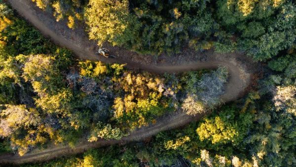 Soil Searching: Dillon Osleger