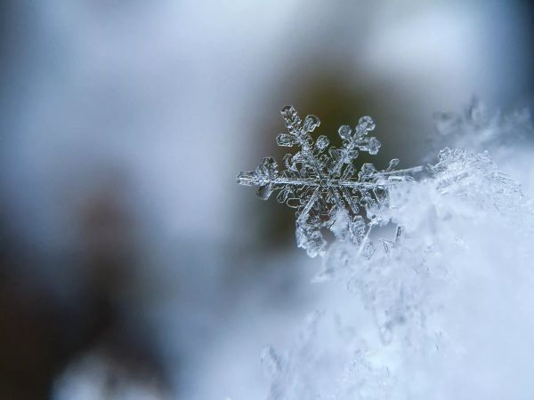 With 8” of Fresh Snow, Old Man Winter Rally will be Epic