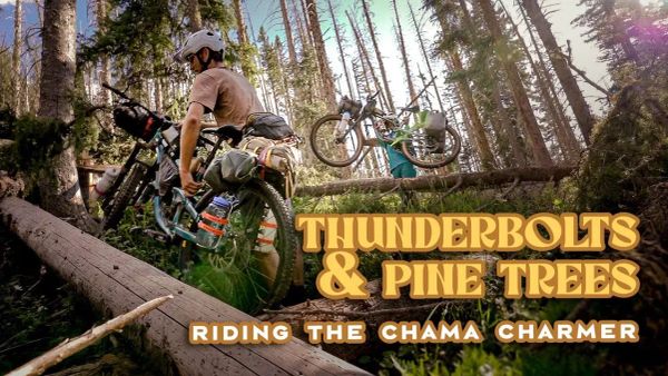 Thunderbolts and Pine Trees