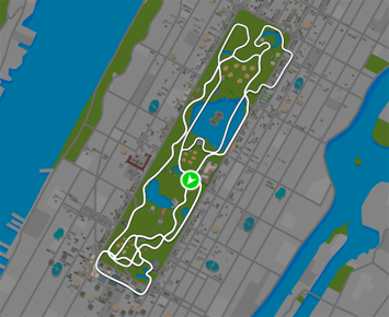 Everything Bagel route in New York