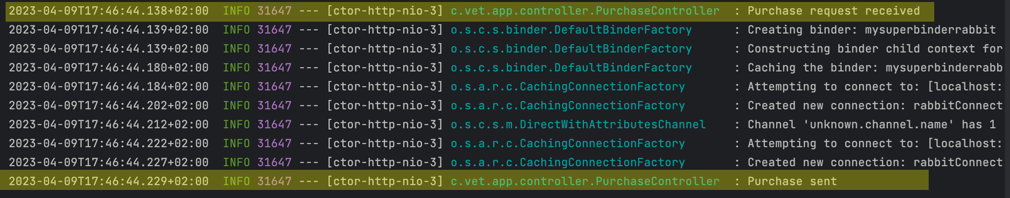 Figure 12 : Logs de l’api