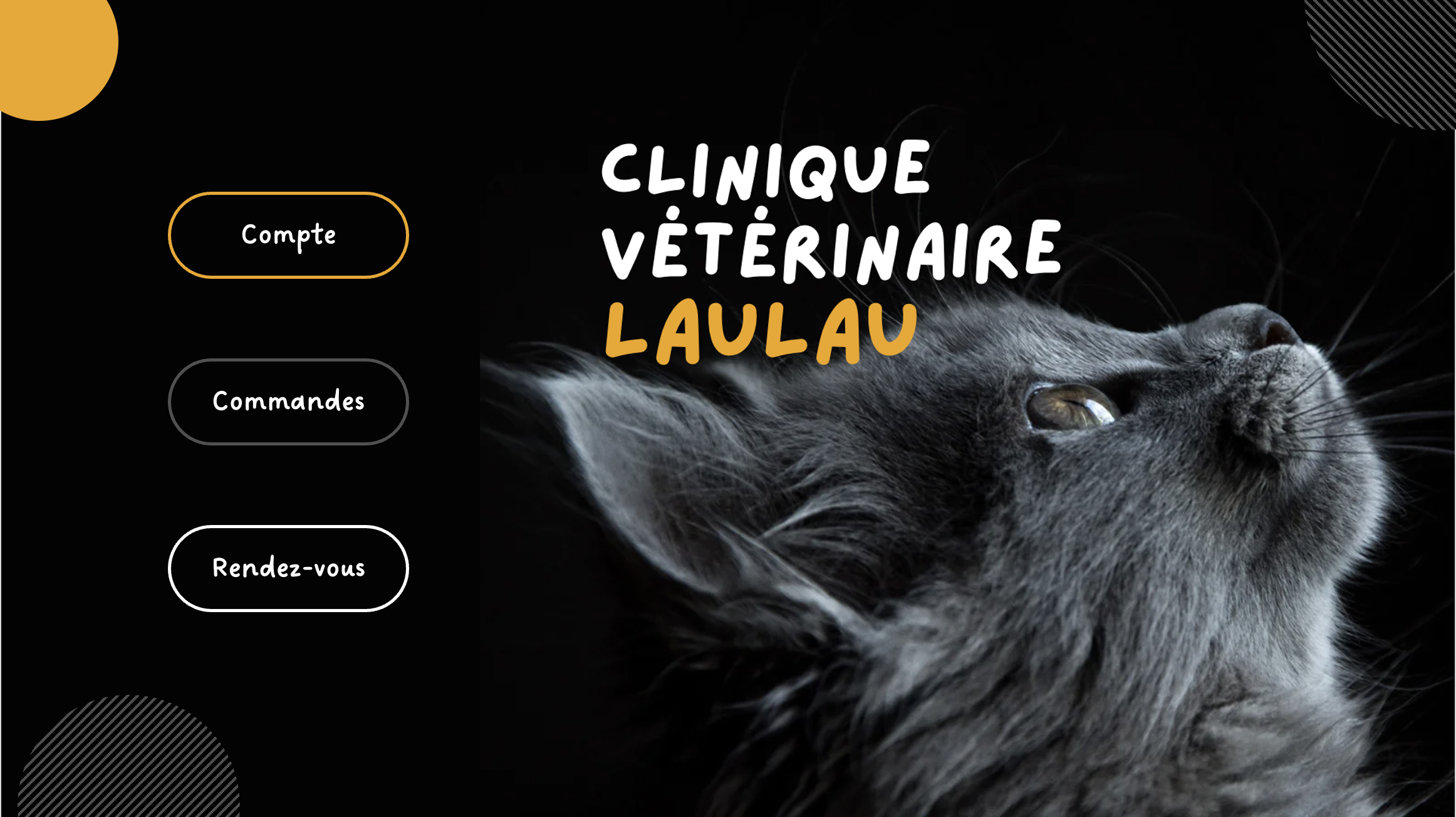 Figure 1 : Front de l’application