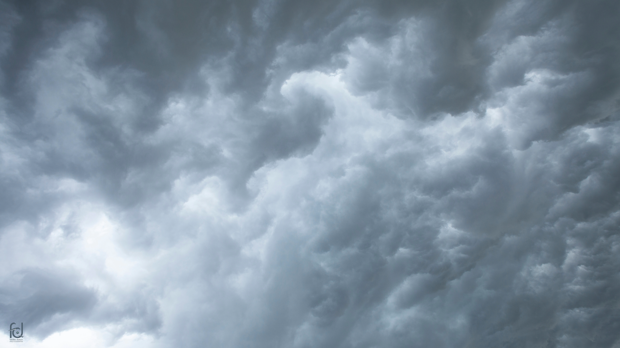 SFTC Supports Rage Against War Machine