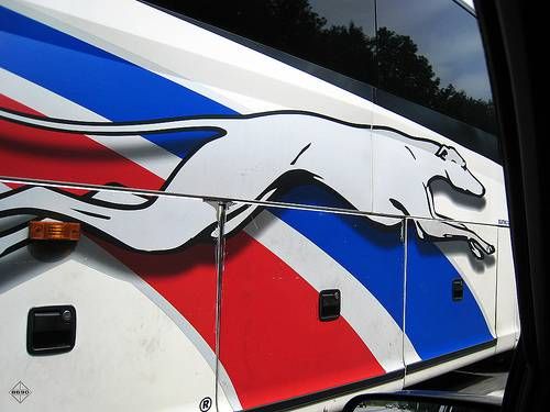 San Diego Occupiers Stranded in Texas by Greyhound Anti-Occupy Bus Driver