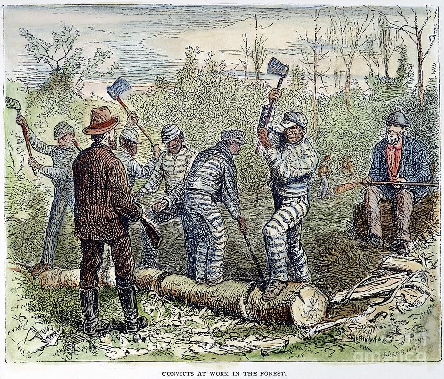 Prison Abolition in the Age of Coronavirus