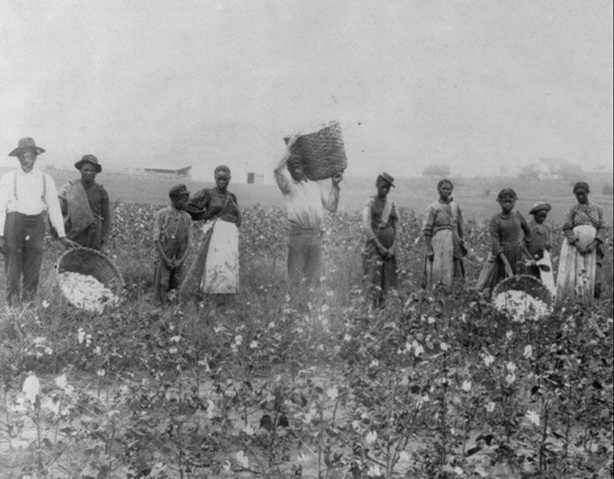 Juneteenth, Warren Court & Trans Lives