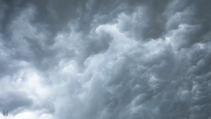 SFTC Supports Rage Against War Machine