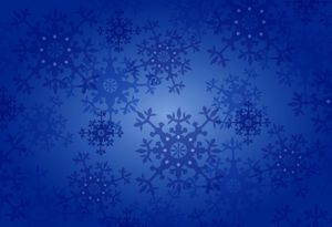 Happy Holidays from SFTC