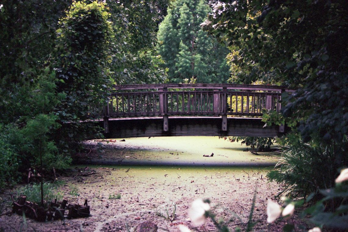 "Bridge Over Pond"