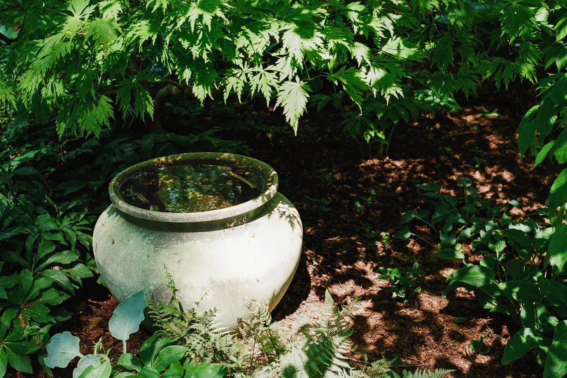 "Empty Planter"