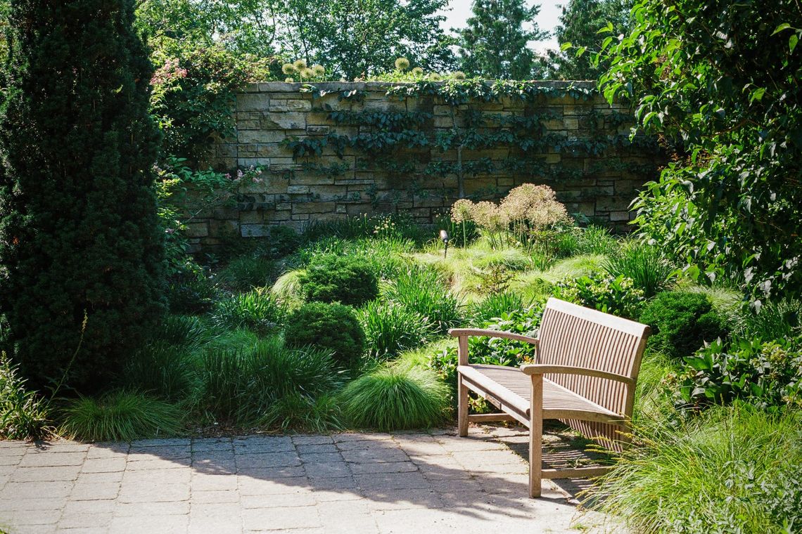 "Bench in Sun"