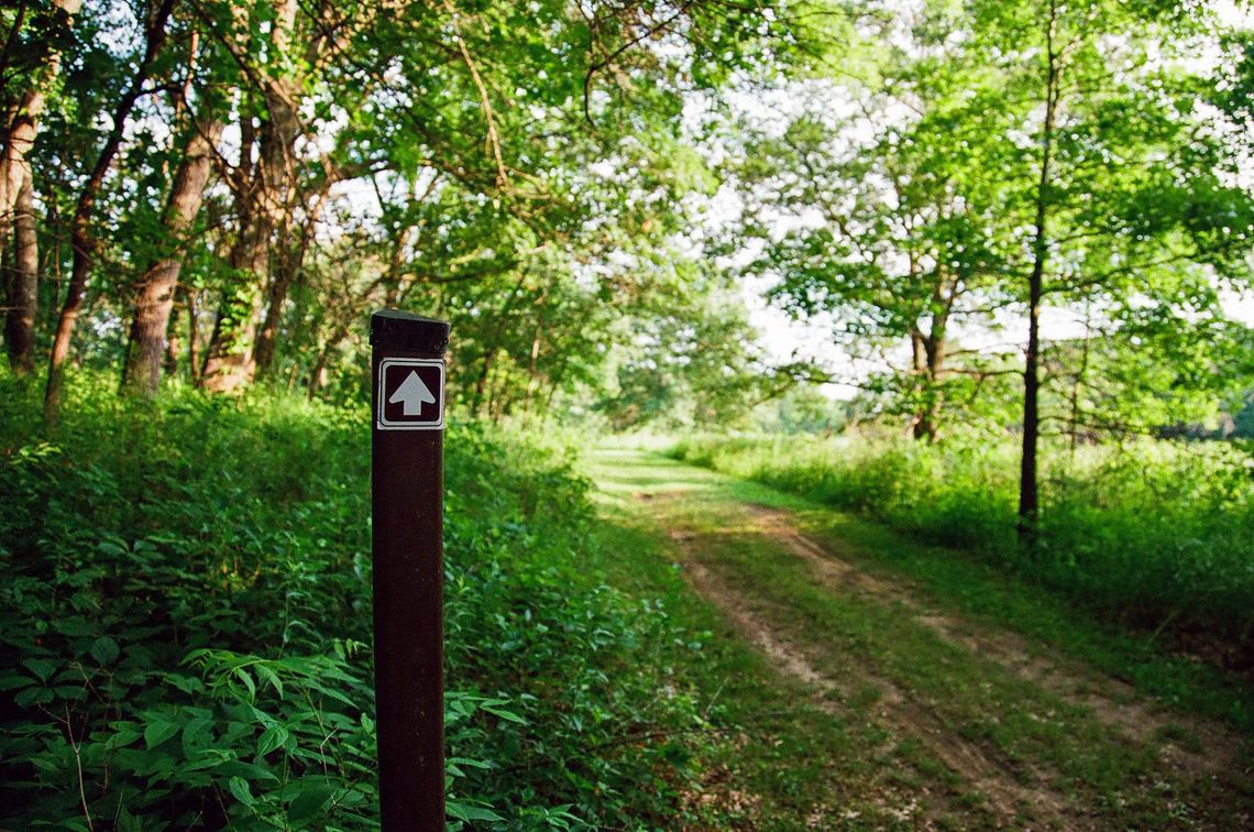 "Goth Park, Walking Path"
