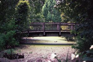 "Bridge Over Pond"