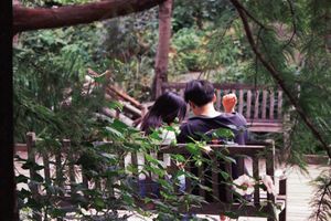 "Couple Sitting, Bonding"