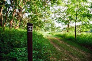 "Goth Park, Walking Path"