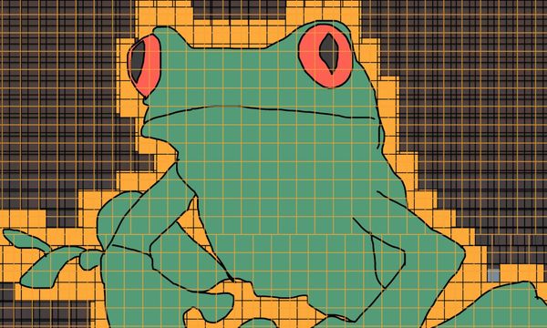 The Word For Sorry Is Rain Forest