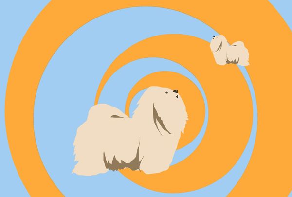 Status Check: Time Machine Project