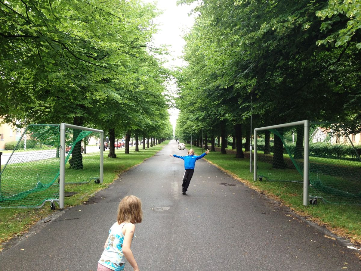 Träden, staden och underjorden