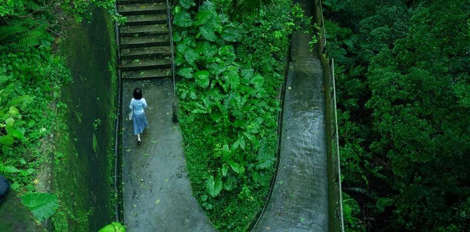 Love After Love (Ann Hui, 2020)