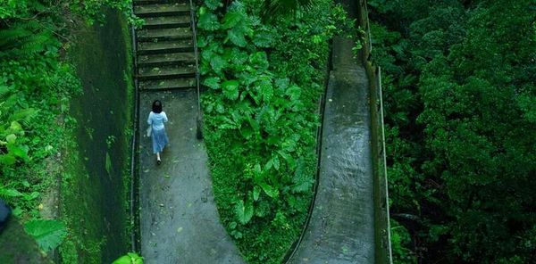Love After Love (Ann Hui, 2020)